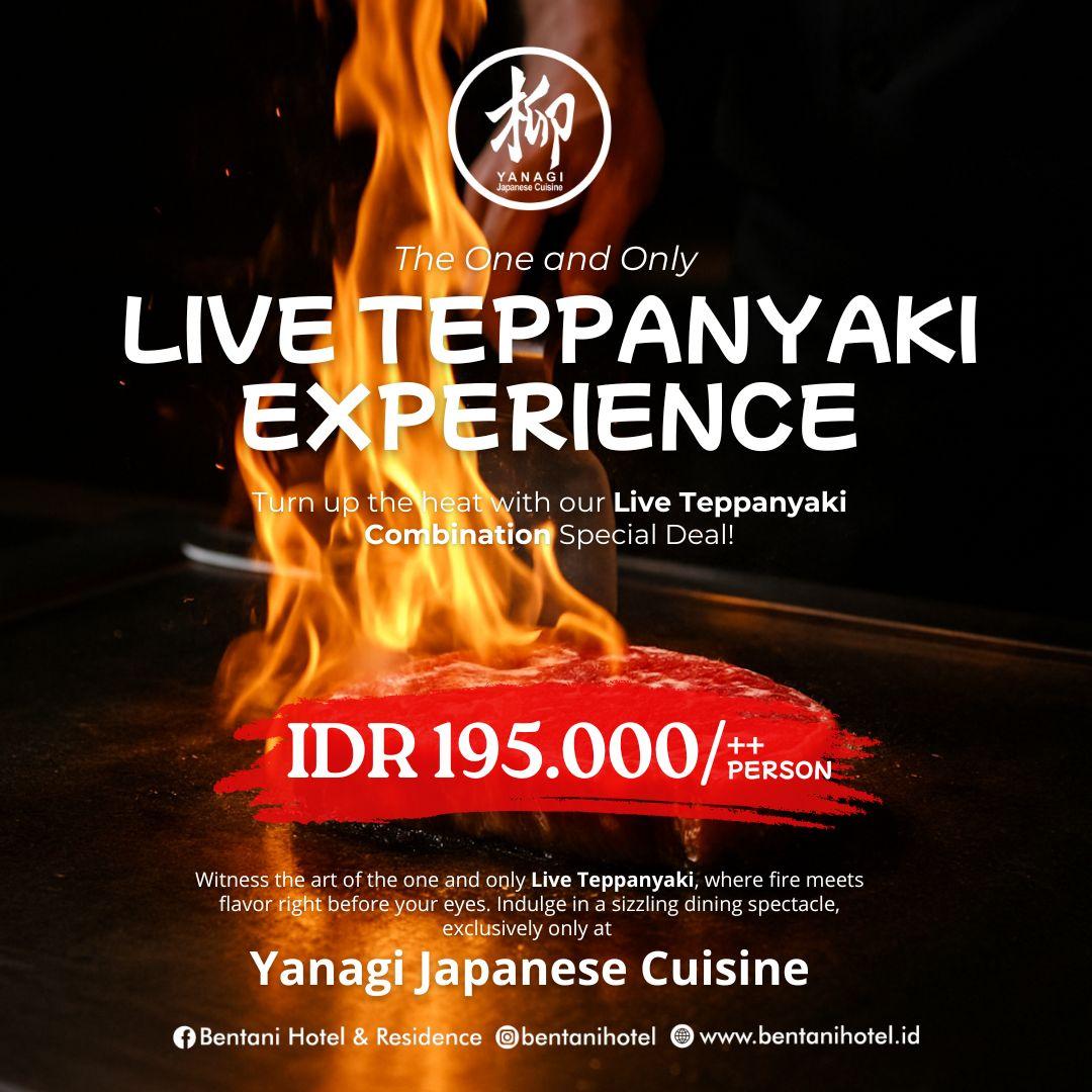 Live Teppanyaki Experience